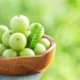 Understand different ways to use Amla for diabetes