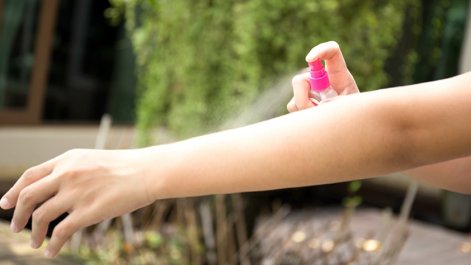 5 best mosquito repellent sprays to protect yourself