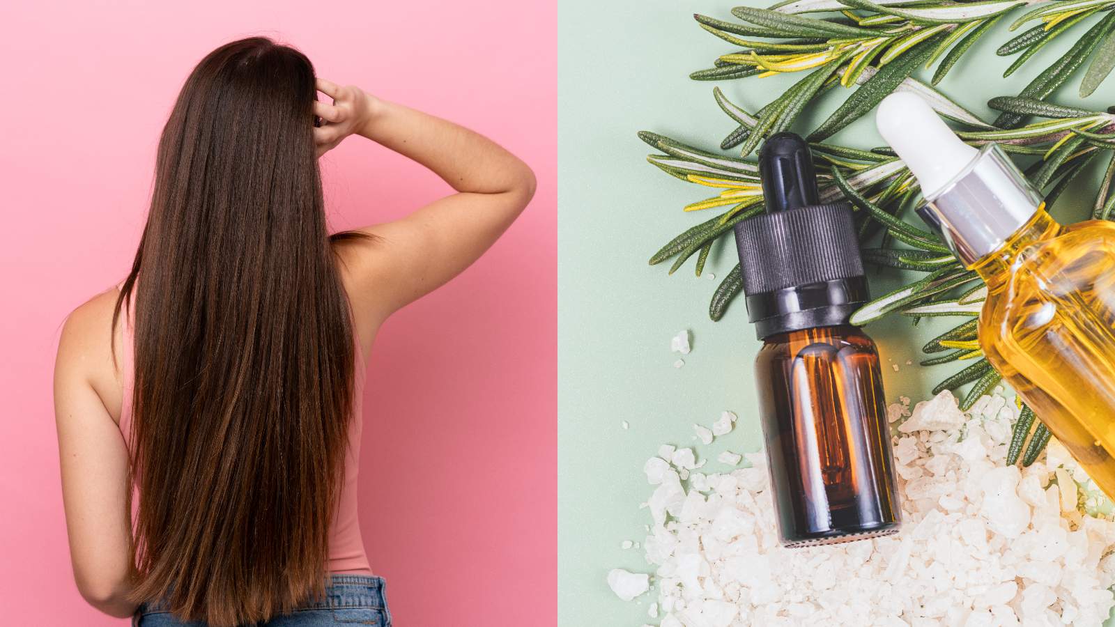 Rosemary oil for hair growth: Benefits and Top Picks
