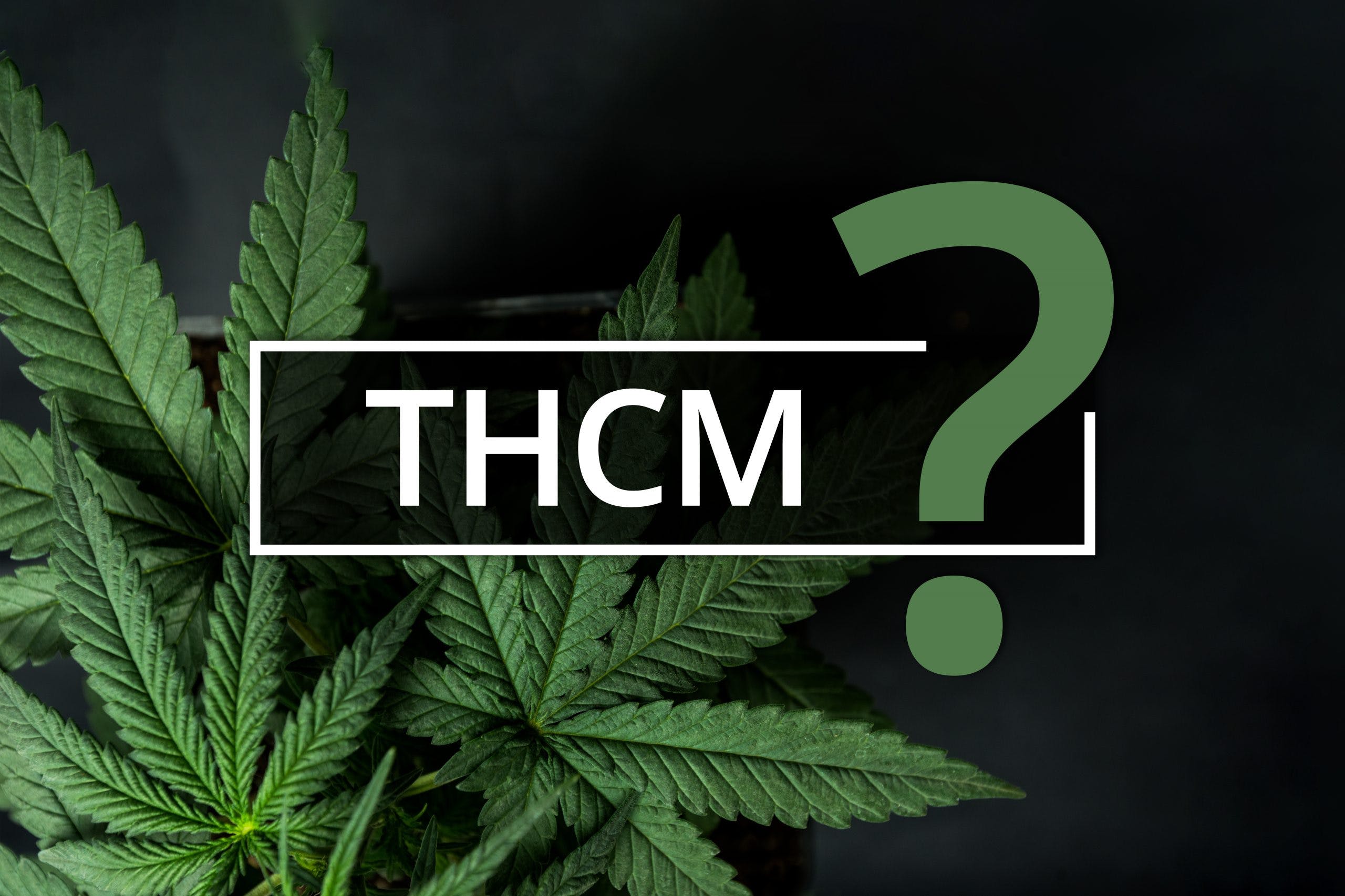 THCM: What Is It and Where Does It Come From?