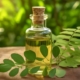 5 best moringa oils to promote hair growth